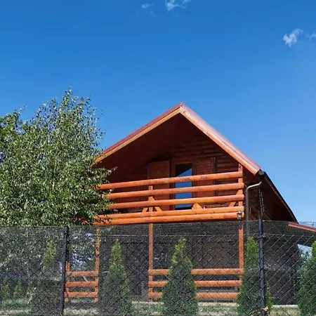 Brvnara Koliba Villa Bor Exterior photo